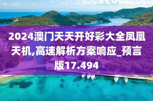 2024澳門天天開好彩大全鳳凰天機,高速解析方案響應_預言版17.494