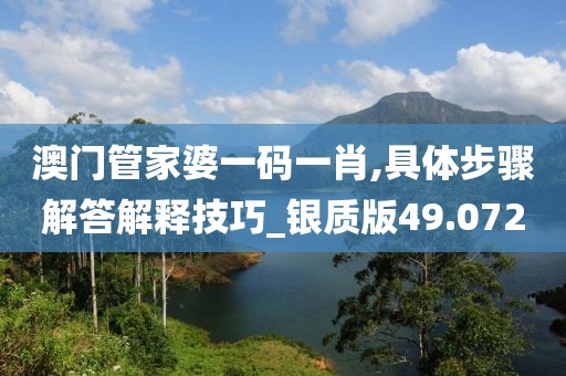 澳門管家婆一碼一肖,具體步驟解答解釋技巧_銀質(zhì)版49.072