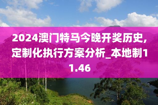 2024澳門特馬今晚開獎歷史,定制化執(zhí)行方案分析_本地制11.46