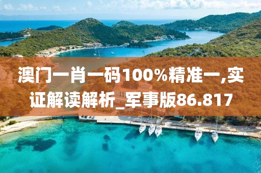 澳門一肖一碼100%精準(zhǔn)一,實證解讀解析_軍事版86.817