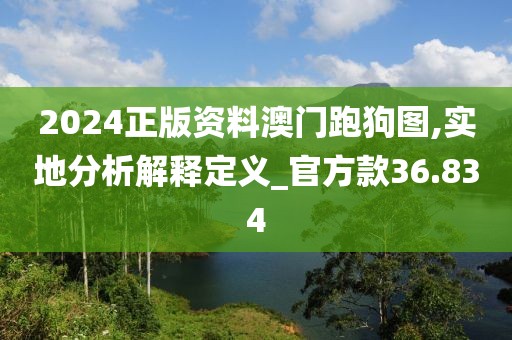 2024正版資料澳門跑狗圖,實地分析解釋定義_官方款36.834