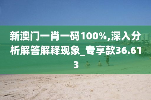 新澳門一肖一碼100%,深入分析解答解釋現(xiàn)象_專享款36.613