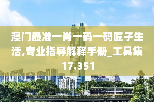 澳門最準(zhǔn)一肖一碼一碼匠子生活,專業(yè)指導(dǎo)解釋手冊(cè)_工具集17.351