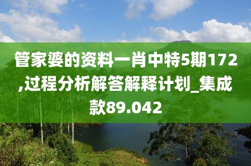 管家婆的資料一肖中特5期172,過程分析解答解釋計劃_集成款89.042