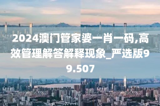 2024澳門管家婆一肖一碼,高效管理解答解釋現(xiàn)象_嚴(yán)選版99.507