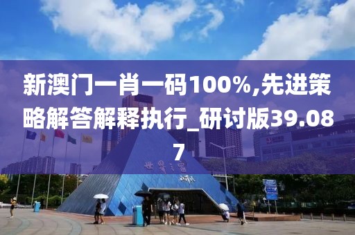 新澳門一肖一碼100%,先進(jìn)策略解答解釋執(zhí)行_研討版39.087