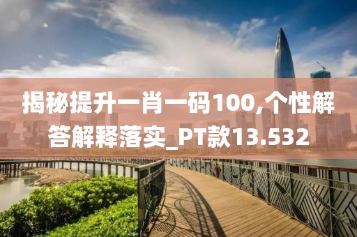 揭秘提升一肖一碼100,個性解答解釋落實_PT款13.532