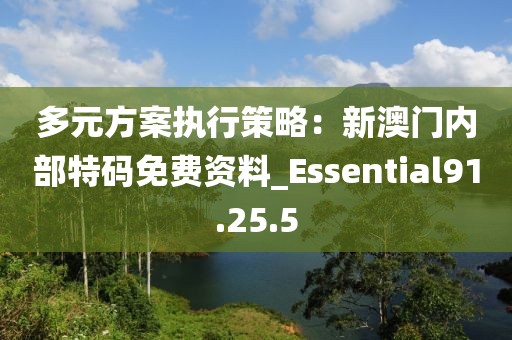 多元方案執(zhí)行策略：新澳門內(nèi)部特碼免費(fèi)資料_Essential91.25.5