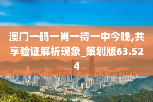 澳門一碼一肖一待一中今晚,共享驗證解析現(xiàn)象_策劃版63.524