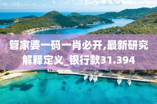 管家婆一碼一肖必開,最新研究解釋定義_銀行款31.394