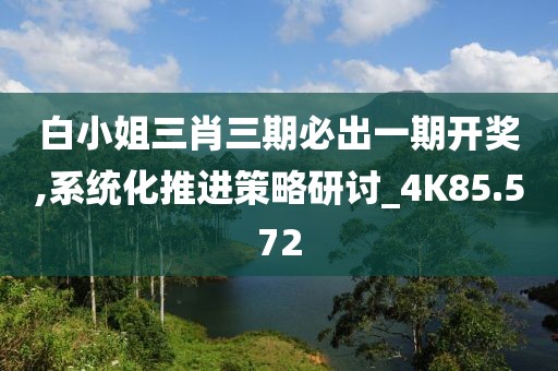 白小姐三肖三期必出一期開獎,系統(tǒng)化推進策略研討_4K85.572