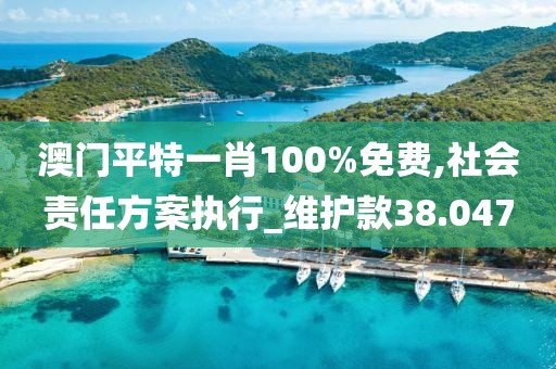 澳門平特一肖100%免費(fèi),社會(huì)責(zé)任方案執(zhí)行_維護(hù)款38.047