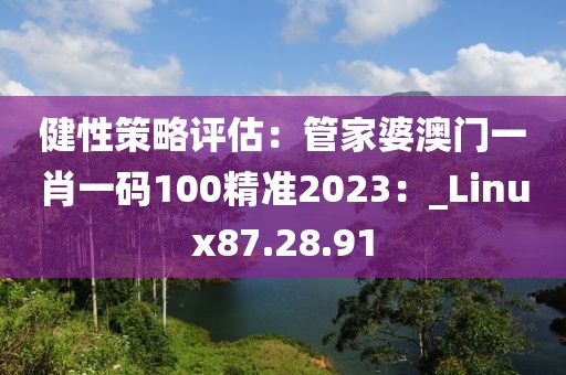 健性策略評估：管家婆澳門一肖一碼100精準2023：_Linux87.28.91