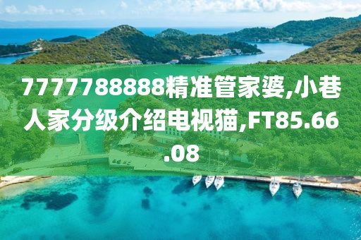 7777788888精準(zhǔn)管家婆,小巷人家分級(jí)介紹電視貓,FT85.66.08