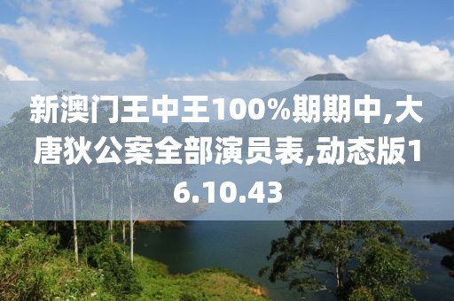 新澳門王中王100%期期中,大唐狄公案全部演員表,動態(tài)版16.10.43