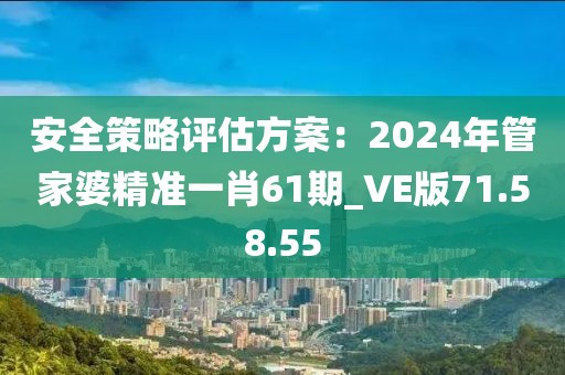 安全策略評估方案：2024年管家婆精準一肖61期_VE版71.58.55