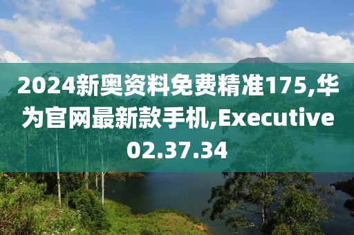 2024新奧資料免費精準175,華為官網最新款手機,Executive02.37.34