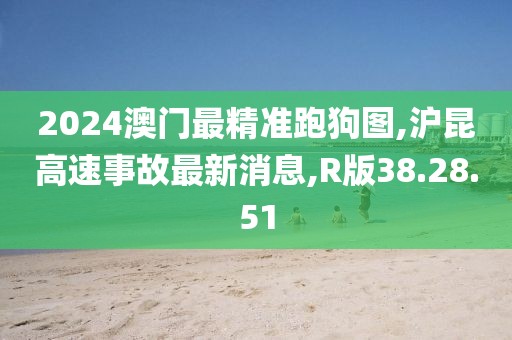 2024澳門最精準跑狗圖,滬昆高速事故最新消息,R版38.28.51