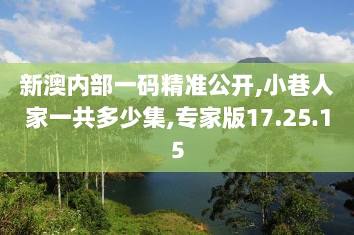 新澳內(nèi)部一碼精準公開,小巷人家一共多少集,專家版17.25.15