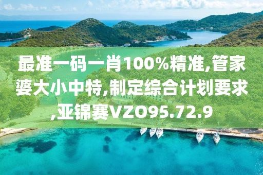 最準(zhǔn)一碼一肖100%精準(zhǔn),管家婆大小中特,制定綜合計(jì)劃要求,亞錦賽VZO95.72.9