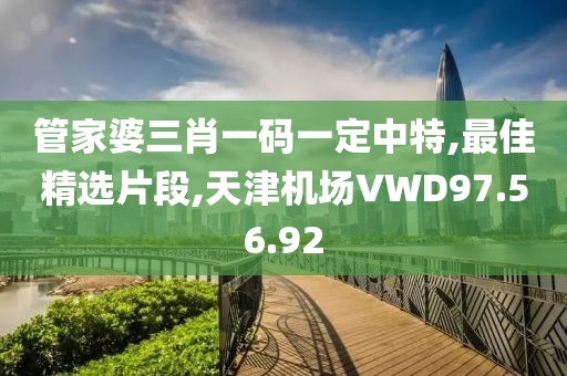 管家婆三肖一碼一定中特,最佳精選片段,天津機場VWD97.56.92