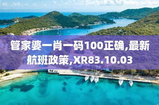 管家婆一肖一碼100正確,最新航班政策,XR83.10.03