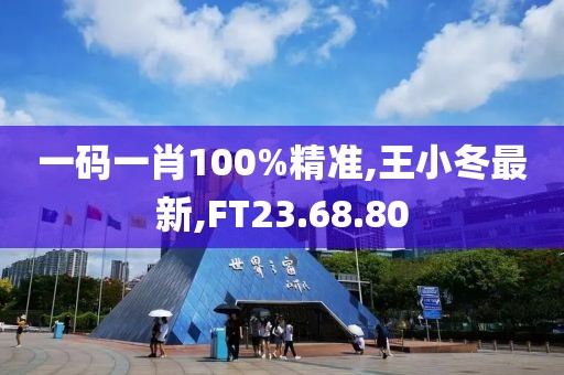 一碼一肖100%精準(zhǔn),王小冬最新,FT23.68.80