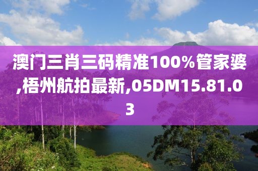 澳門三肖三碼精準(zhǔn)100%管家婆,梧州航拍最新,05DM15.81.03