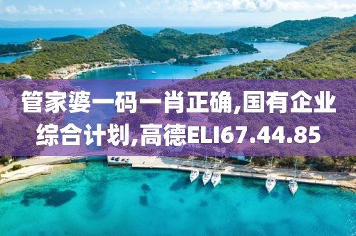 管家婆一碼一肖正確,國有企業(yè)綜合計劃,高德ELI67.44.85