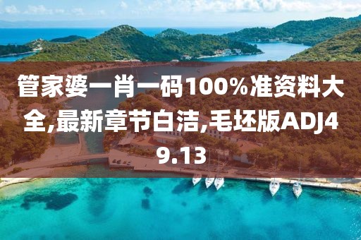 管家婆一肖一碼100%準資料大全,最新章節(jié)白潔,毛坯版ADJ49.13