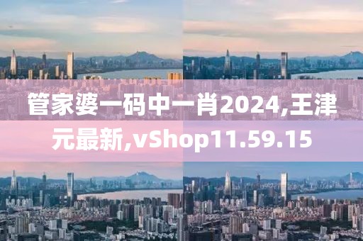 管家婆一碼中一肖2024,王津元最新,vShop11.59.15