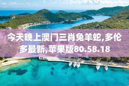 今天晚上澳門三肖兔羊蛇,多倫多最新,蘋果版80.58.18