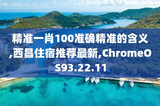 精準(zhǔn)一肖100準(zhǔn)確精準(zhǔn)的含義,西昌住宿推薦最新,ChromeOS93.22.11