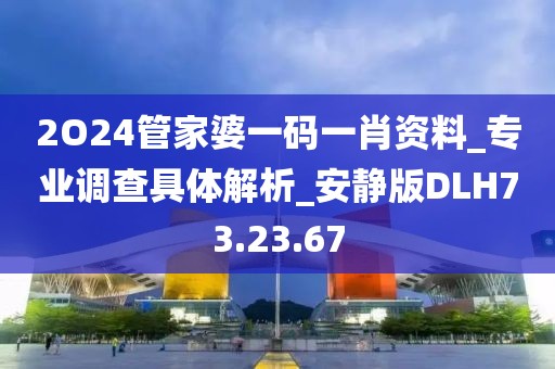 2O24管家婆一碼一肖資料_專業(yè)調(diào)查具體解析_安靜版DLH73.23.67