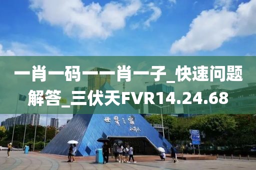 一肖一碼一一肖一子_快速問題解答_三伏天FVR14.24.68