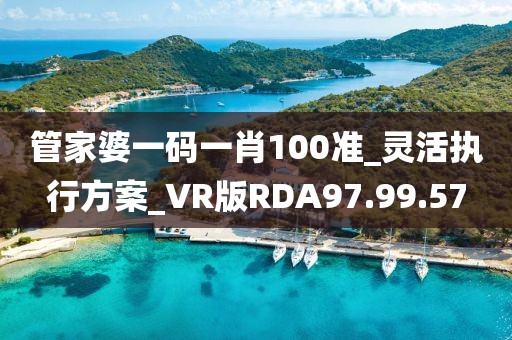 管家婆一碼一肖100準_靈活執(zhí)行方案_VR版RDA97.99.57