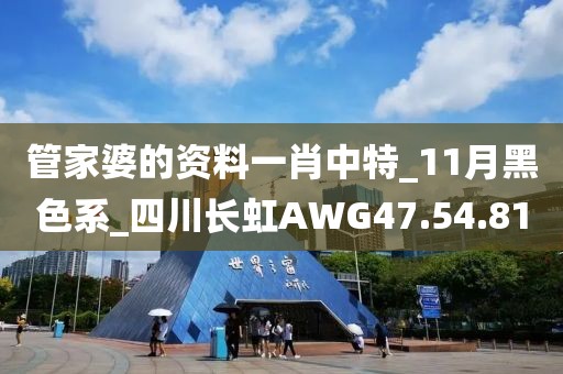 管家婆的資料一肖中特_11月黑色系_四川長虹AWG47.54.81