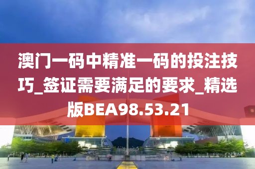 澳門一碼中精準(zhǔn)一碼的投注技巧_簽證需要滿足的要求_精選版BEA98.53.21