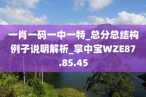 一肖一碼一中一特_總分總結(jié)構(gòu)例子說明解析_掌中寶WZE87.85.45