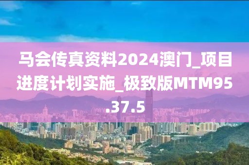 馬會傳真資料2024澳門_項目進度計劃實施_極致版MTM95.37.5