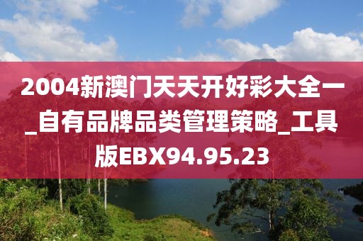 2004新澳門天天開好彩大全一_自有品牌品類管理策略_工具版EBX94.95.23