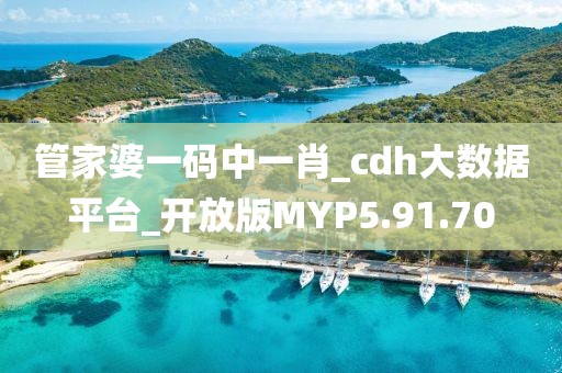 管家婆一碼中一肖_cdh大數(shù)據(jù)平臺(tái)_開放版MYP5.91.70