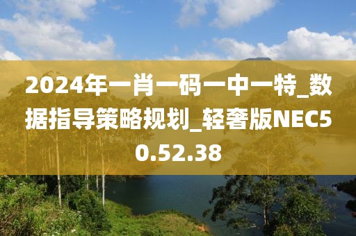 2024年一肖一碼一中一特_數(shù)據(jù)指導(dǎo)策略規(guī)劃_輕奢版NEC50.52.38