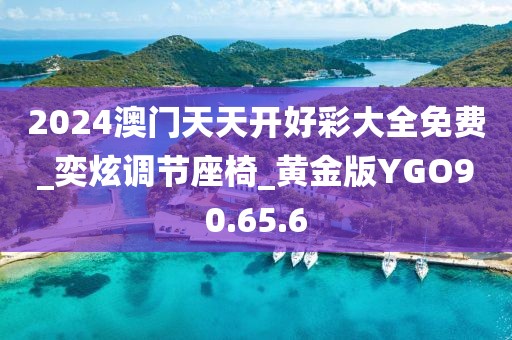 2024澳門天天開好彩大全免費_奕炫調(diào)節(jié)座椅_黃金版YGO90.65.6