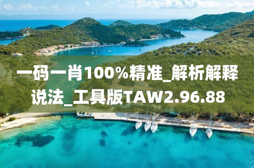 一碼一肖100%精準(zhǔn)_解析解釋說法_工具版TAW2.96.88