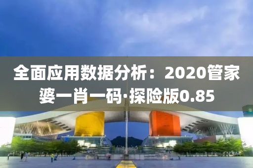 全面應用數(shù)據(jù)分析：2020管家婆一肖一碼·探險版0.85