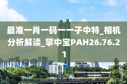 最準一肖一碼一一孑中特_相機分析解讀_掌中寶PAH26.76.21