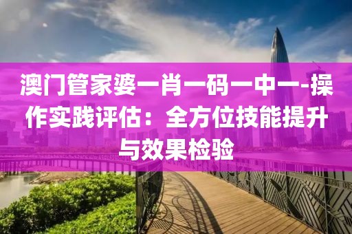 澳門管家婆一肖一碼一中一-操作實踐評估：全方位技能提升與效果檢驗