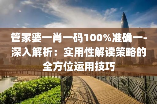 管家婆一肖一碼100%準確一-深入解析：實用性解讀策略的全方位運用技巧