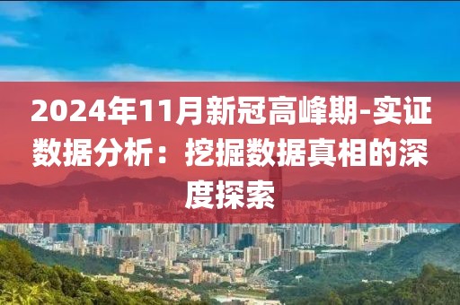 2024年11月新冠高峰期-實(shí)證數(shù)據(jù)分析：挖掘數(shù)據(jù)真相的深度探索